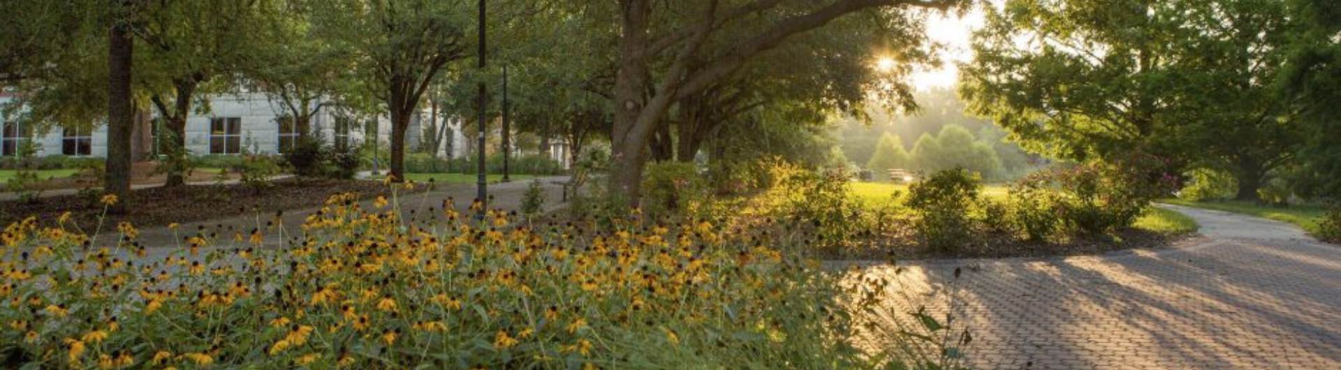 Georgia Southern accounting campus in morning dawn with spring flowers in bloom.