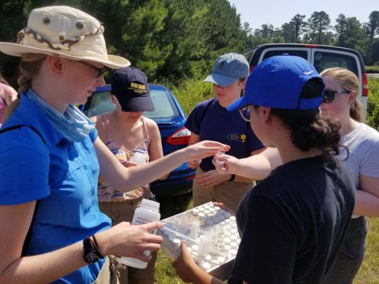 A group of researchers or students collecting and organizing water samples in small bottles outdoors near a vehicle.