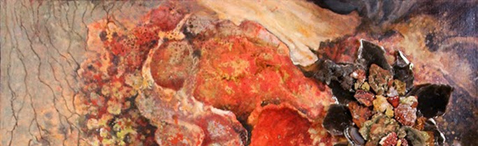 Close up shot of fungi
