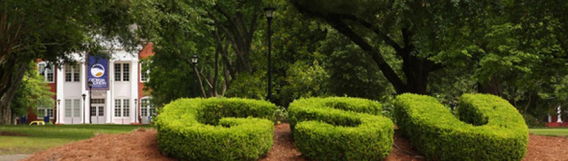 A wide panoramic shot of topiary hedges shaped into 
