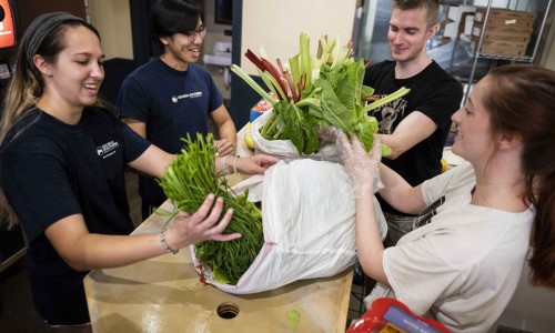 Four young adults, wearing casual shirts and gloves, smile as they pack fresh leafy green vegetables, including lettuce and herbs, into large white bags on a wooden counter.