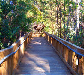 Walkway to Glory’s Nest