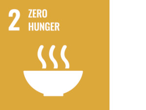 UN Sustainability Development Goal 2: Zero Hunger