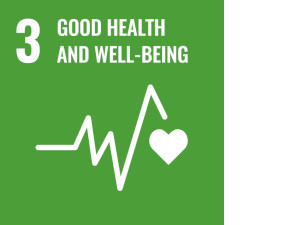 UN Sustainability Development Goal 3: Good Health and Well-being