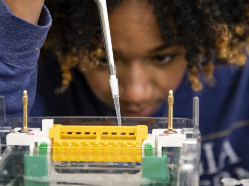 A close-up shot of a focused university student using a pipette tool to carefully load samples into a yellow gel electrophoresis tank in a science laboratory.