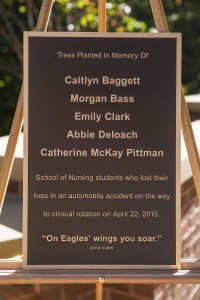 plaque