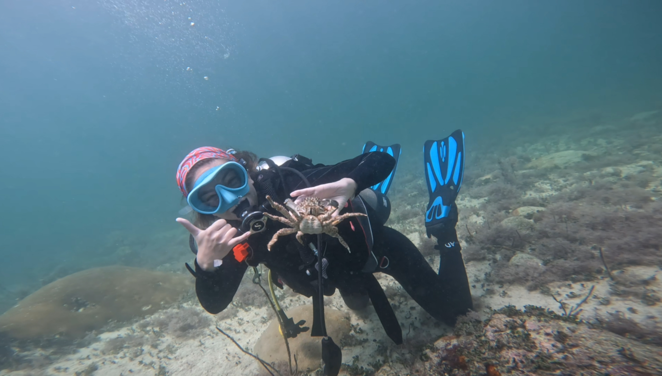 Scuba diver holds a crab under the water