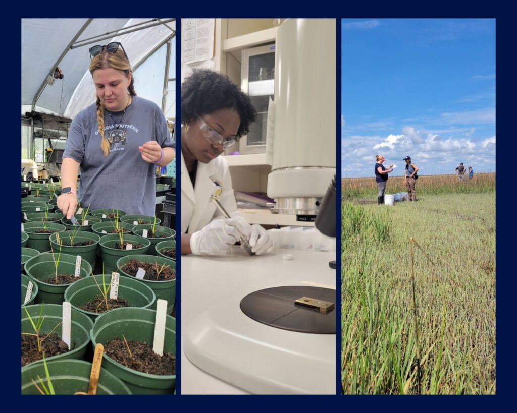 From the lab to the marsh, Georgia Southern students lead summer science research