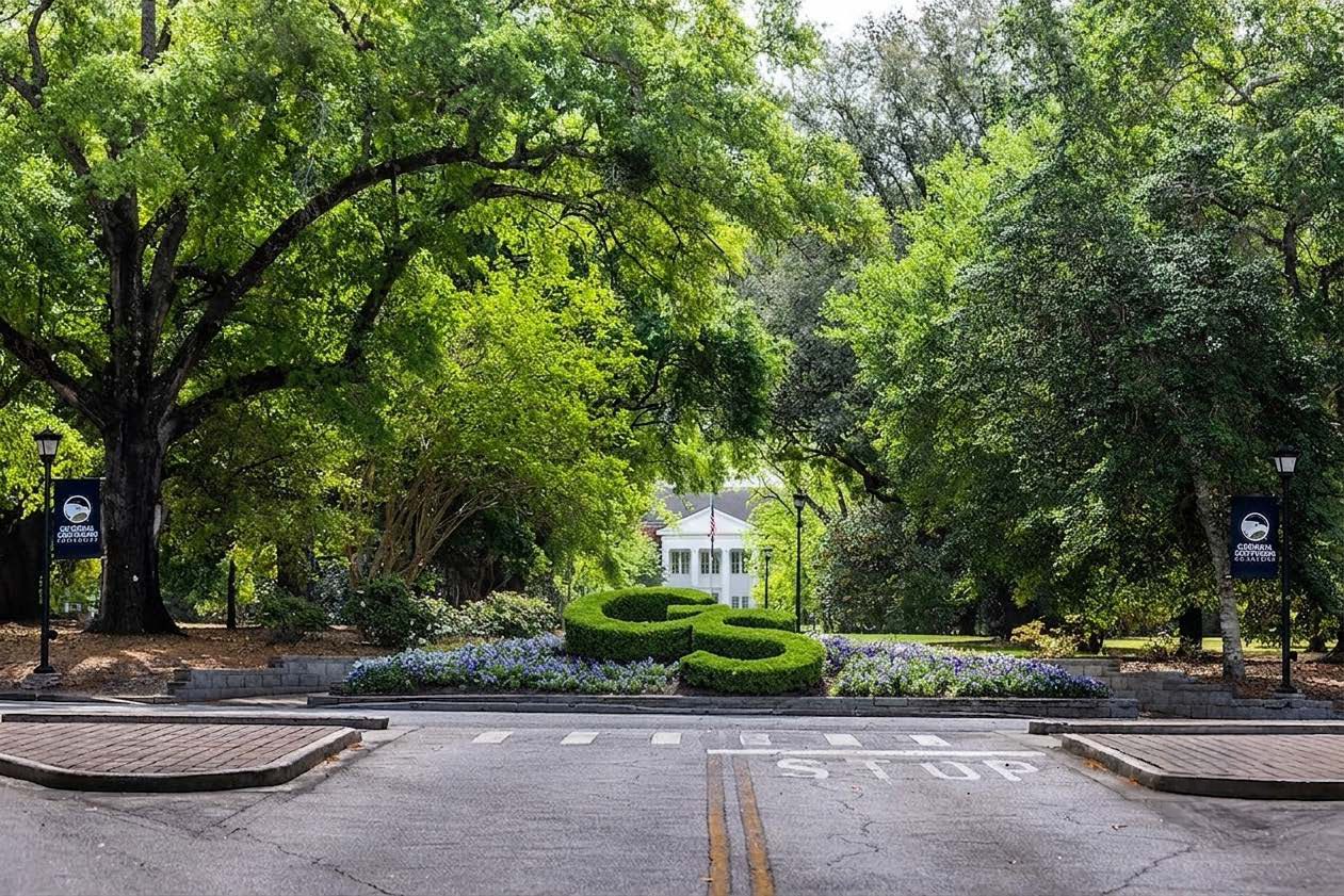 Campus street lined with tall trees and a manicured hedge centerpiece, with a white building visible in the distance and 'STOP' painted on the road edge.