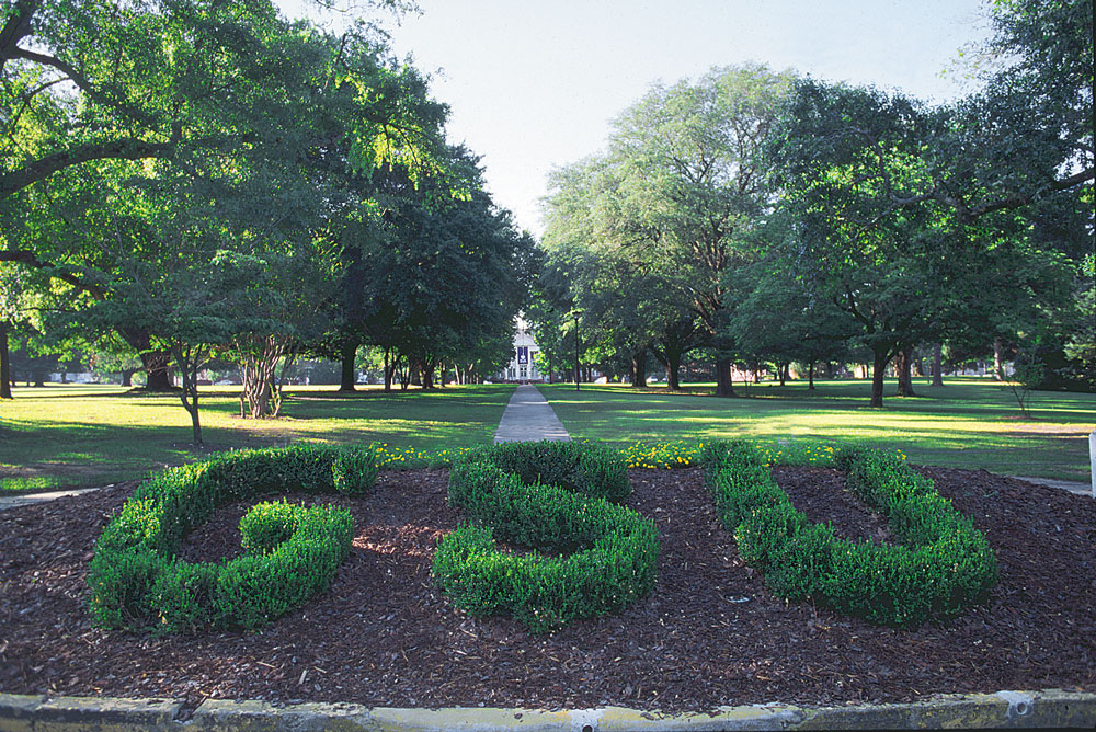 Park scene with trimmed shrubs arranged in a decorative bed, a central path leading to a distant building, and tall trees framing the lawn.